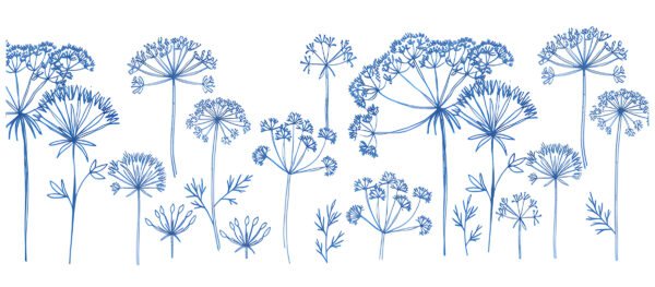 Novotech Print Ceramic Coffee Mug – Blue Botanical Floral Design”